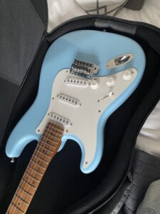 Custom Guitar - In the Gig Bag