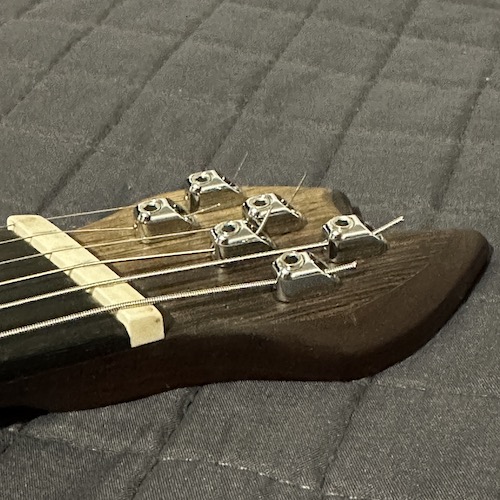 SBC Omicron One - Headstock