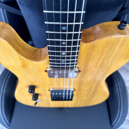 Munson Tempest Guitar - Neck shot